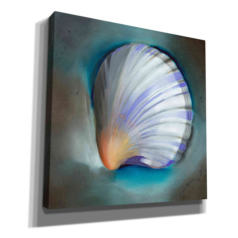 Image of 'Clam Shell Glow' by Louise Montillio, Canvas Wall Art