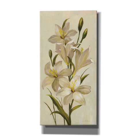 Image of 'Elegant White Florals I' by Silvia Vassileva, Canvas Wall Art