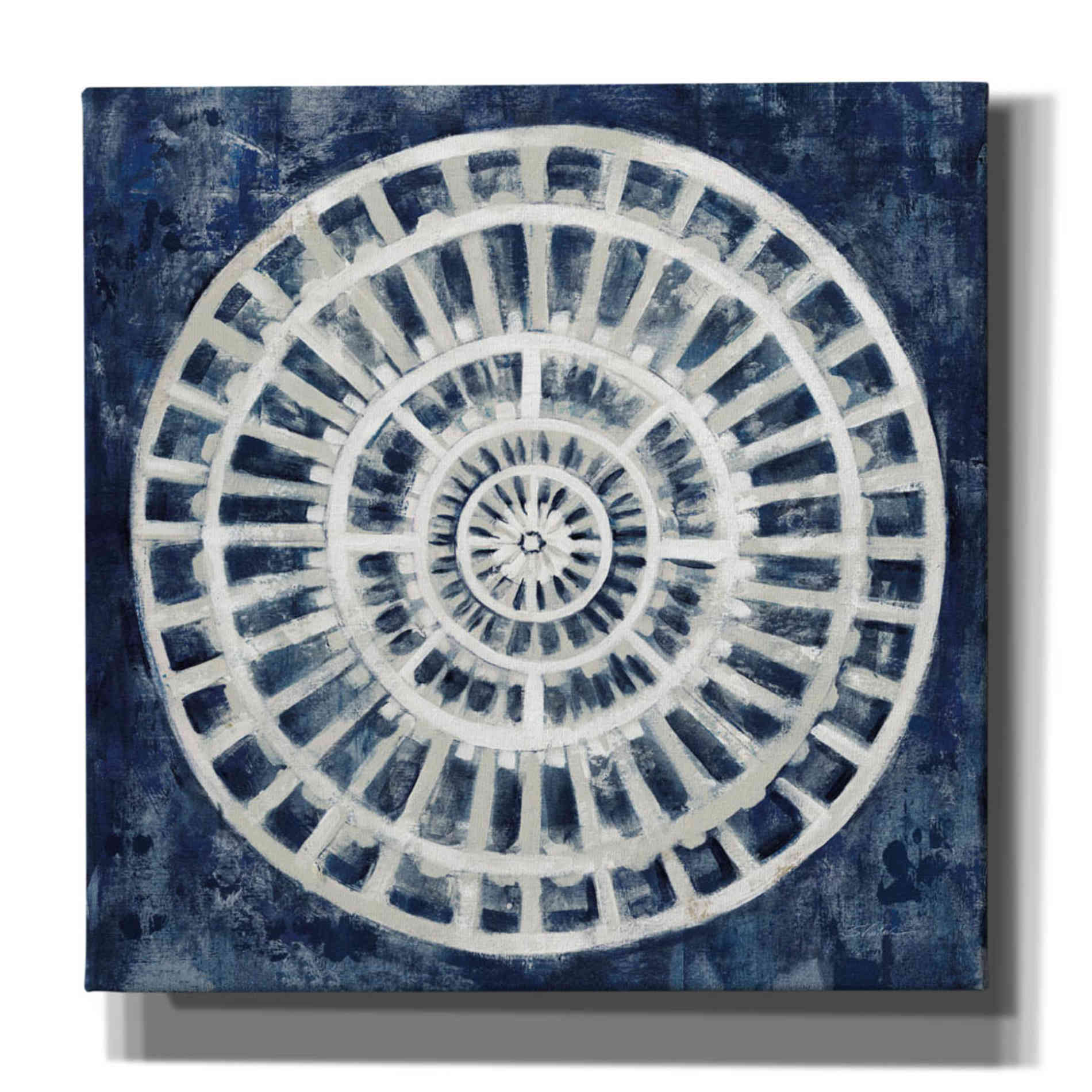 'Blue Textured Medallion' by Silvia Vassileva, Canvas Wall Art