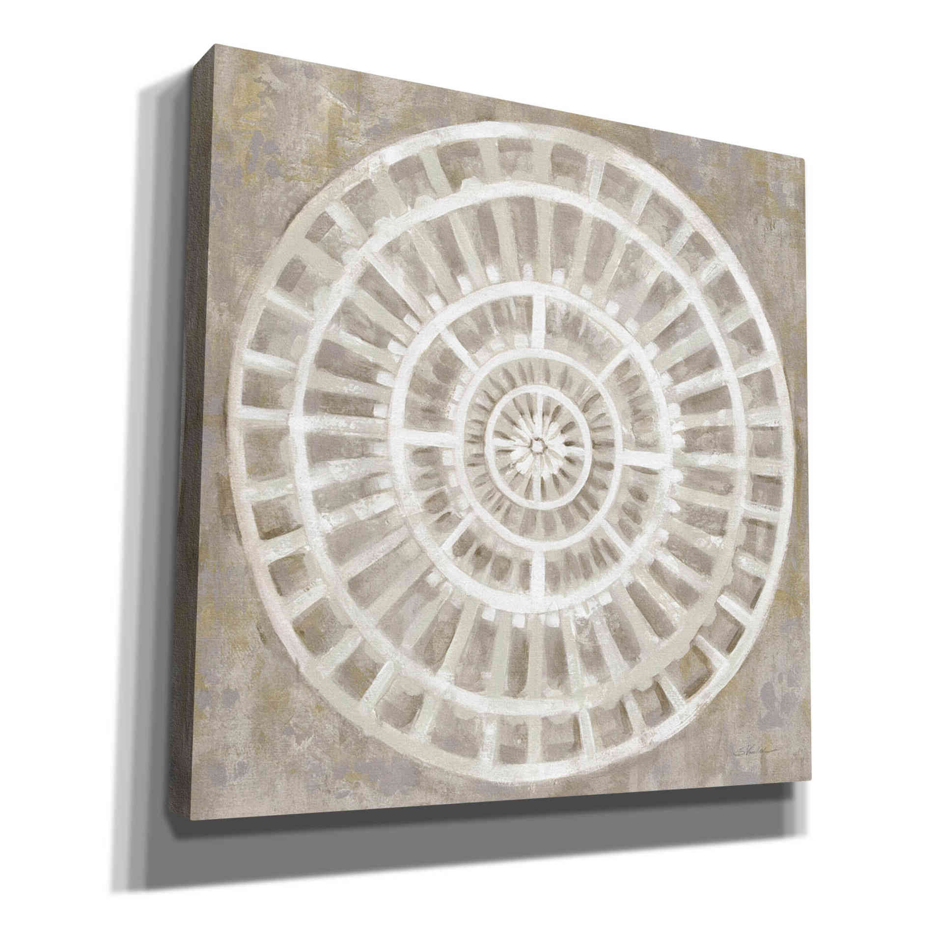 'Neutral Textured Medallion Light' by Silvia Vassileva, Canvas Wall Art