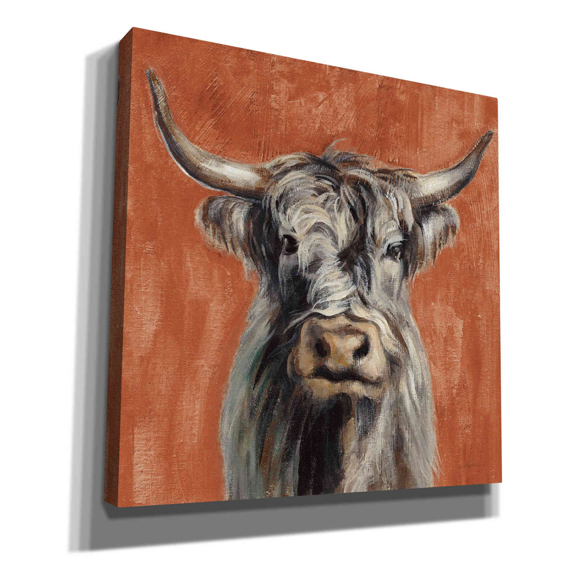 'Highland Cow on Terracotta' by Silvia Vassileva, Canvas Wall Art