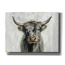 'Highland Cow Horizontal' by Silvia Vassileva, Canvas Wall Art