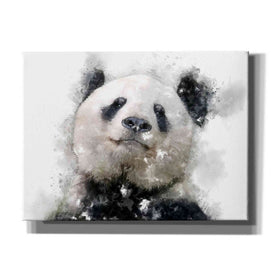 'Panda Love' by Kim Curinga, Canvas Wall Art