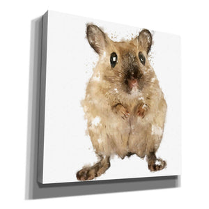 'Curious Mouse' by Kim Curinga, Canvas Wall Art