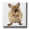 'Curious Mouse' by Kim Curinga, Canvas Wall Art