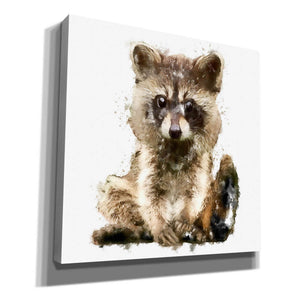 'Ricky Racoon' by Kim Curinga, Canvas Wall Art