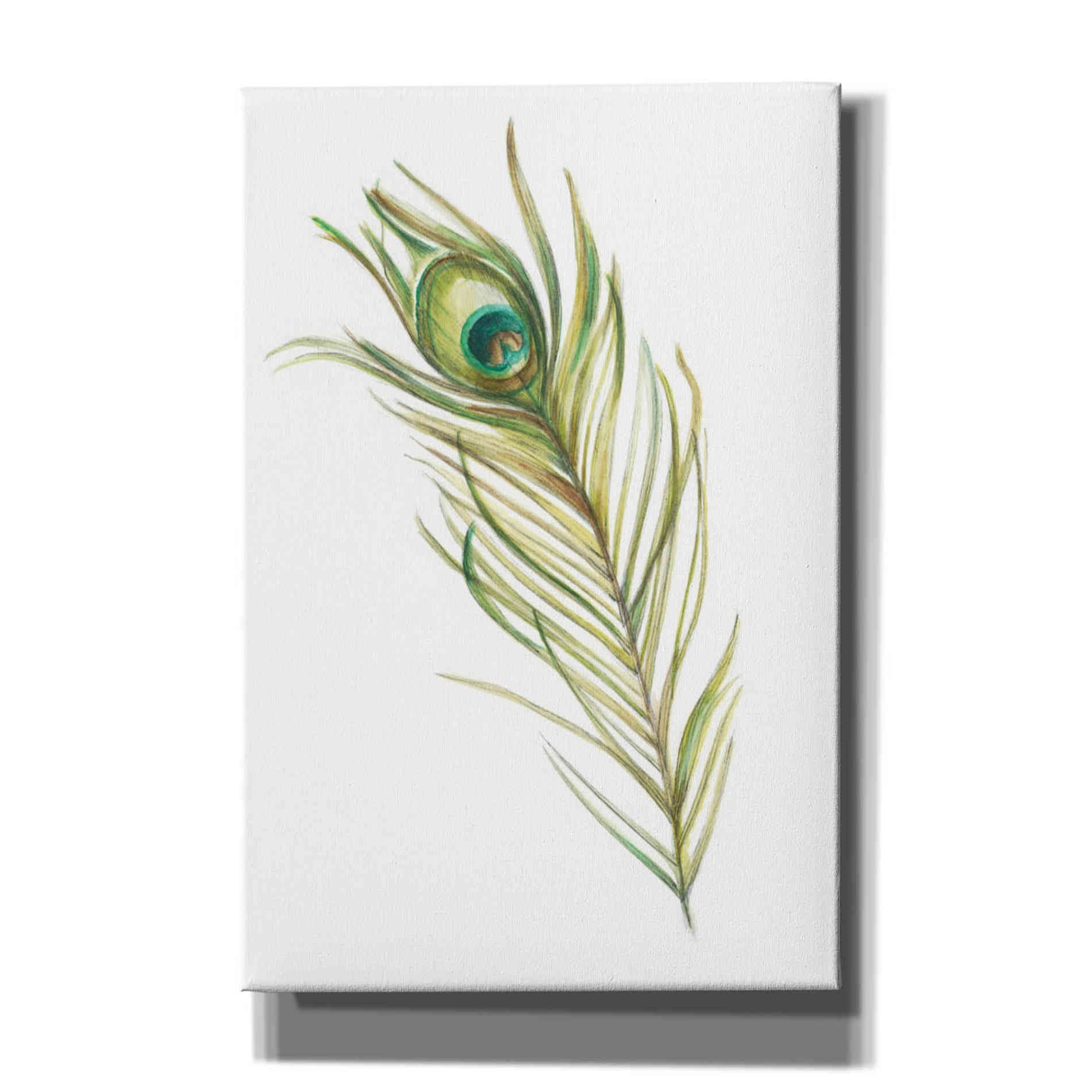 "Watercolor Peacock Feather I" by Ethan Harper, Canvas Wall Art