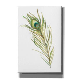 "Watercolor Peacock Feather I" by Ethan Harper, Canvas Wall Art
