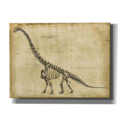 Image of "Brachiosaurus Study" by Ethan Harper, Canvas Wall Art