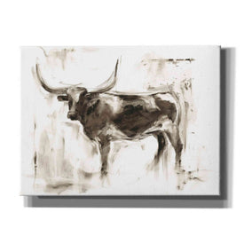 "Longhorn Study II" by Ethan Harper, Canvas Wall Art