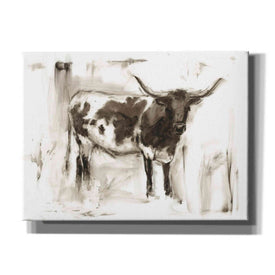 "Longhorn Study I" by Ethan Harper, Canvas Wall Art