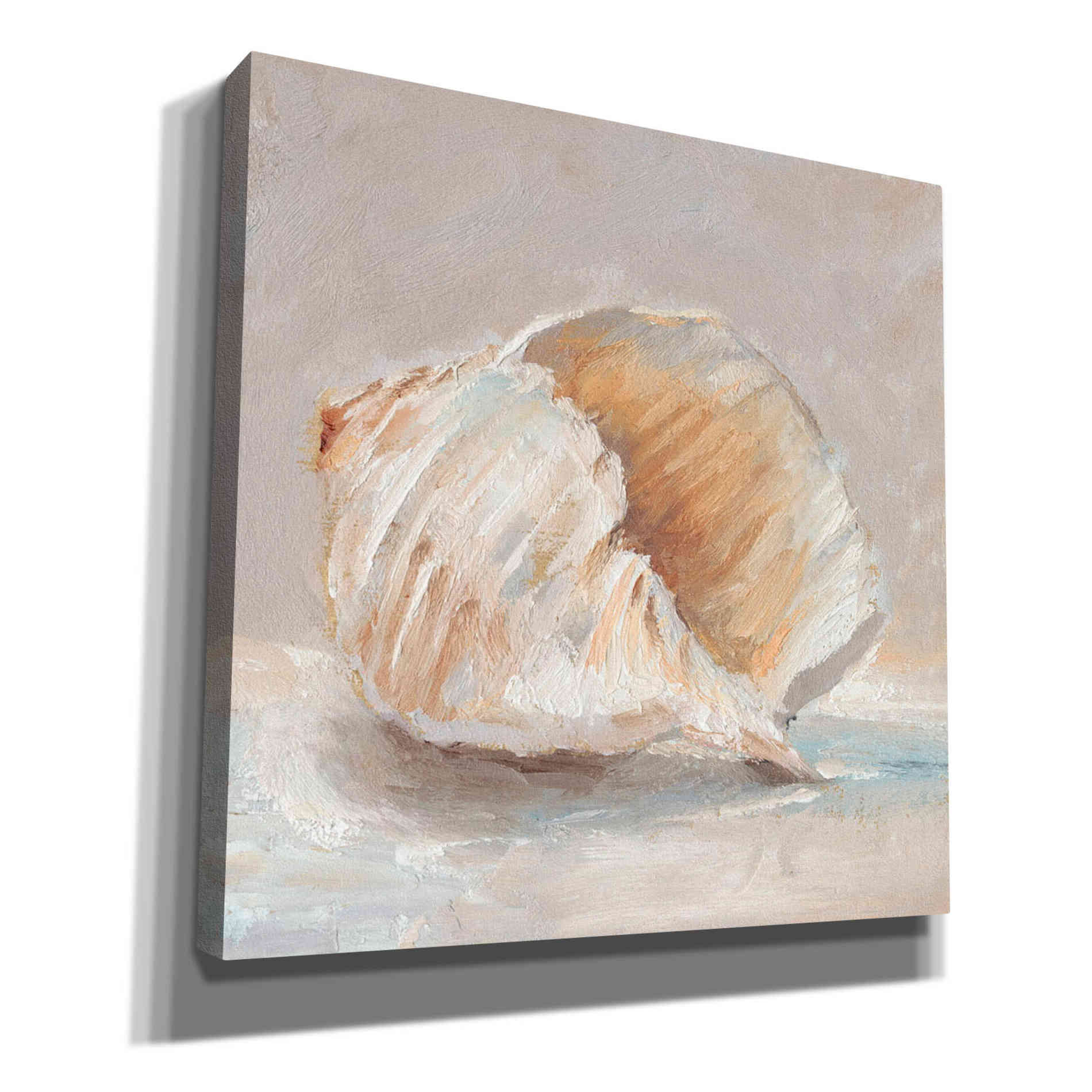 "Impressionist Shell Study IV" by Ethan Harper, Canvas Wall Art