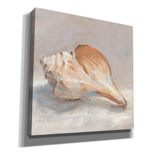 "Impressionist Shell Study III" by Ethan Harper, Canvas Wall Art