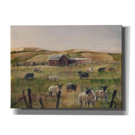 "Grazing Sheep II" by Ethan Harper, Canvas Wall Art