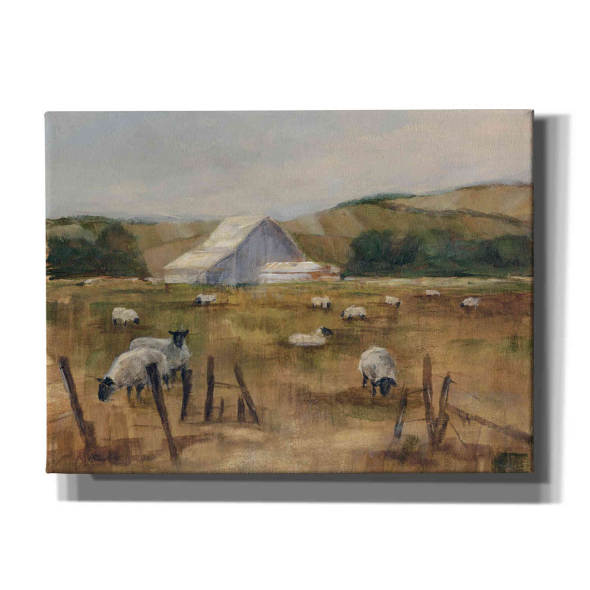"Grazing Sheep I" by Ethan Harper, Canvas Wall Art