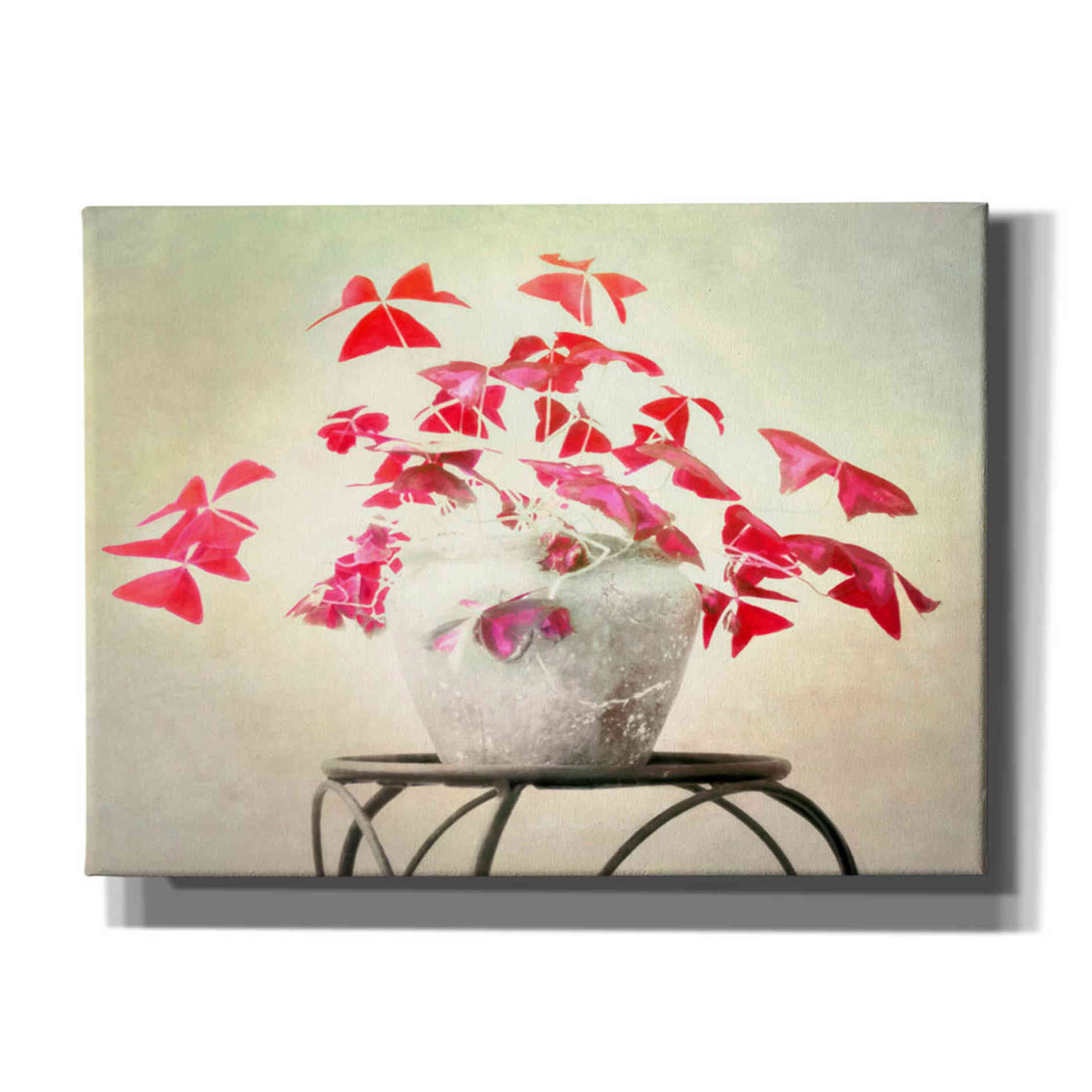 "Butterfly Plant" by Hal Halli, Canvas Wall Art