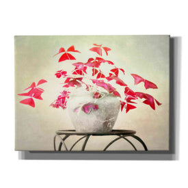 "Butterfly Plant" by Hal Halli, Canvas Wall Art