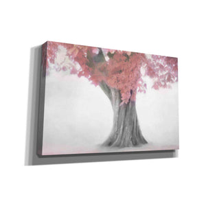 "Treeness In Clamshell" by Hal Halli, Canvas Wall Art