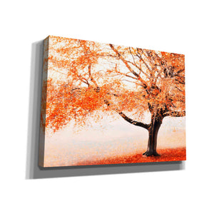 "Once Upon A Crimson Autumn" by Hal Halli, Canvas Wall Art