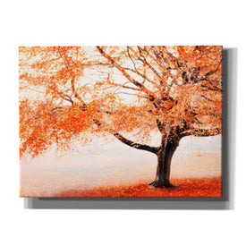 "Once Upon A Crimson Autumn" by Hal Halli, Canvas Wall Art