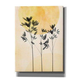 "Feel More Love" by Hal Halli, Canvas Wall Art