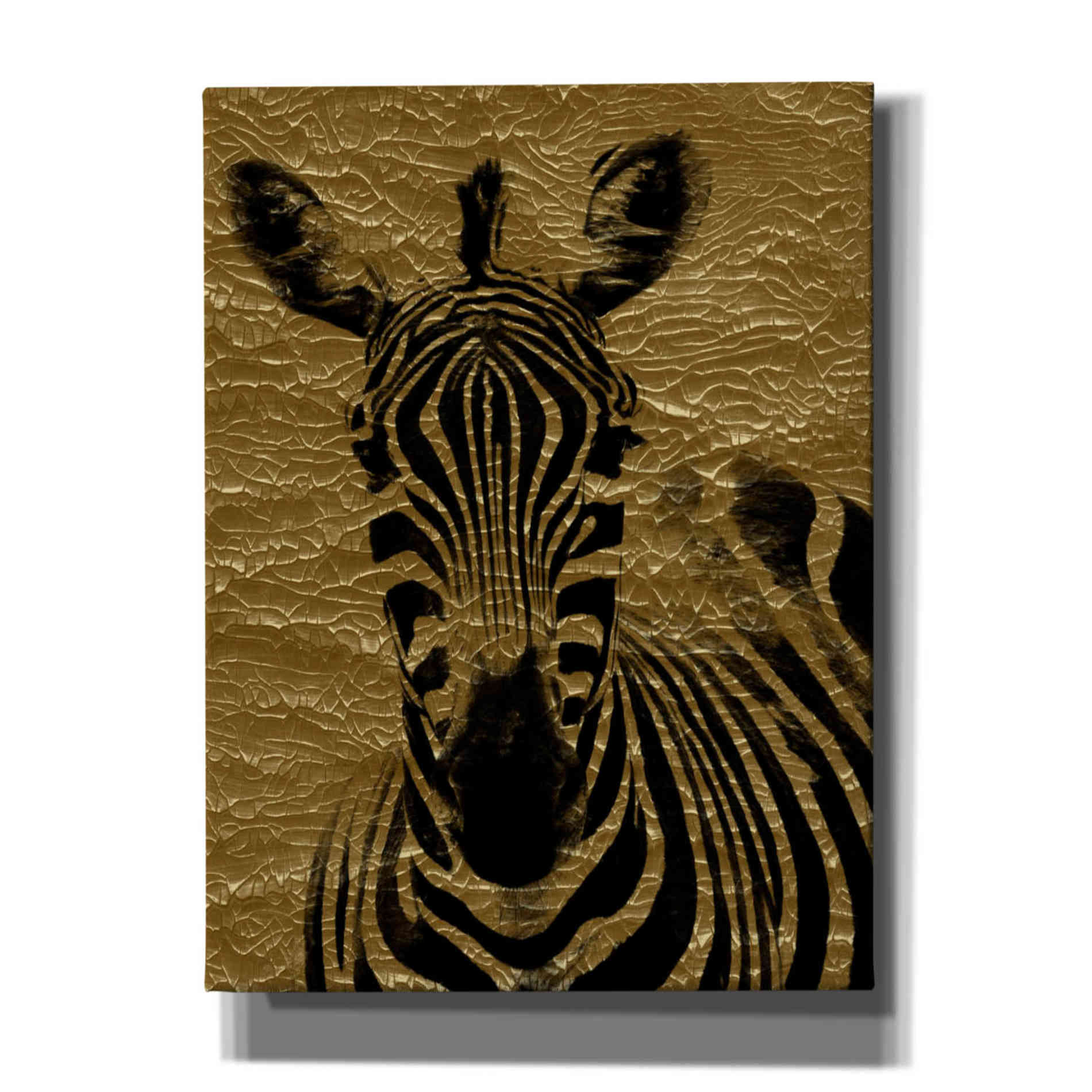"Zebra 1" by Hal Halli, Canvas Wall Art
