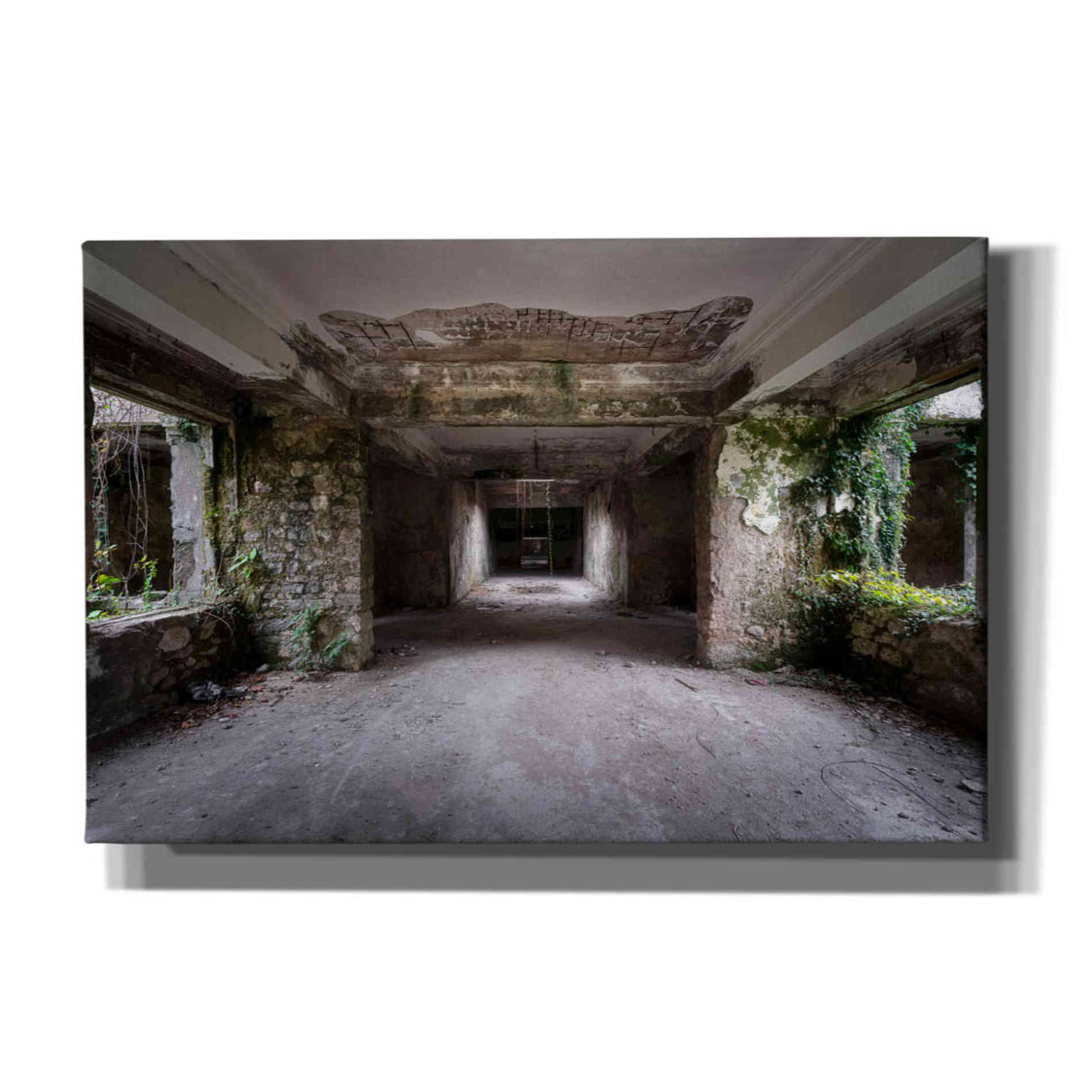 'Scary Dark Hall' by Roman Robroek, Canvas Wall Art