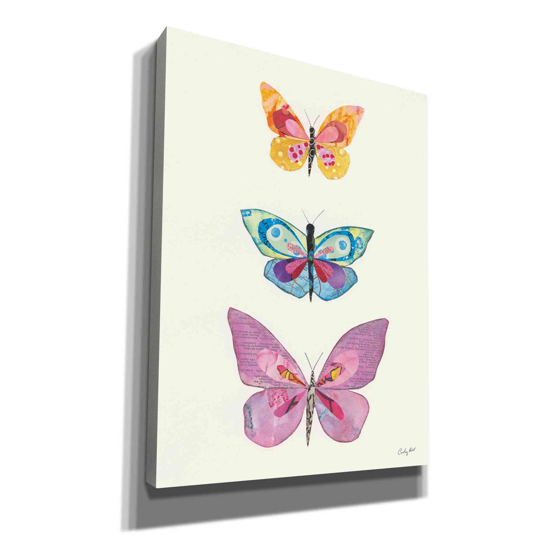 'Butterfly Charts III' by Courtney Prahl, Canvas Wall Art