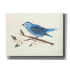 'Birds and Blossoms II' by Courtney Prahl, Canvas Wall Art