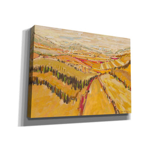 'Patchwork Hills VIII' by Jennifer Gardner, Canvas Wall Art