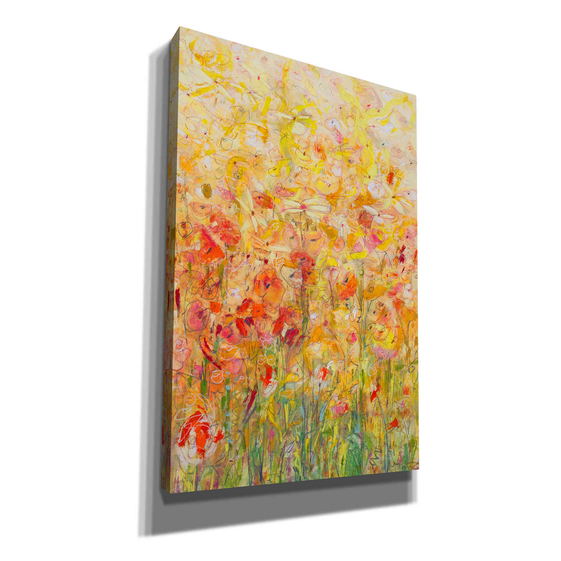 'Daisy Chain 16' by Jennifer Gardner, Canvas Wall Art