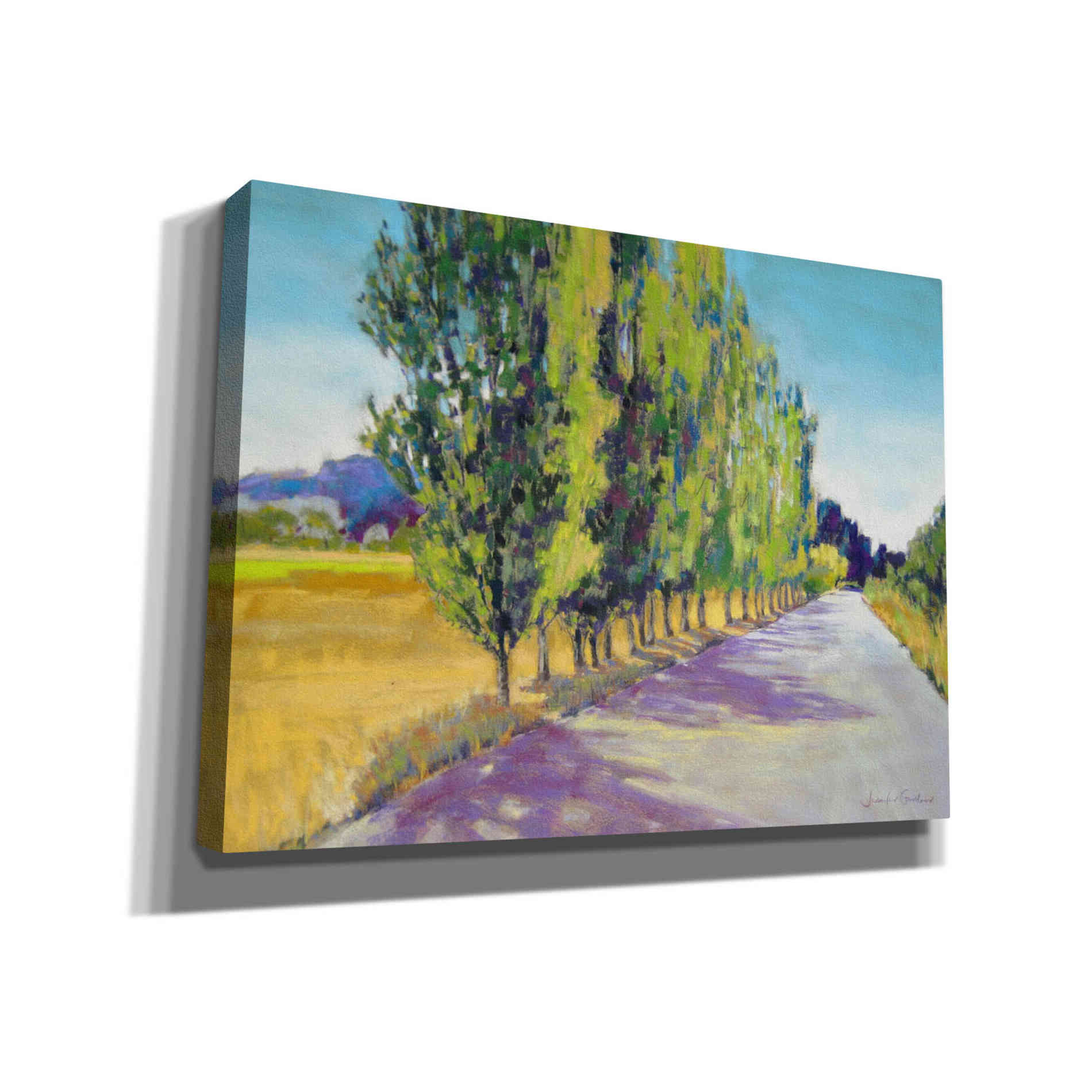 'Backlit Poplars Provence' by Jennifer Gardner, Canvas Wall Art