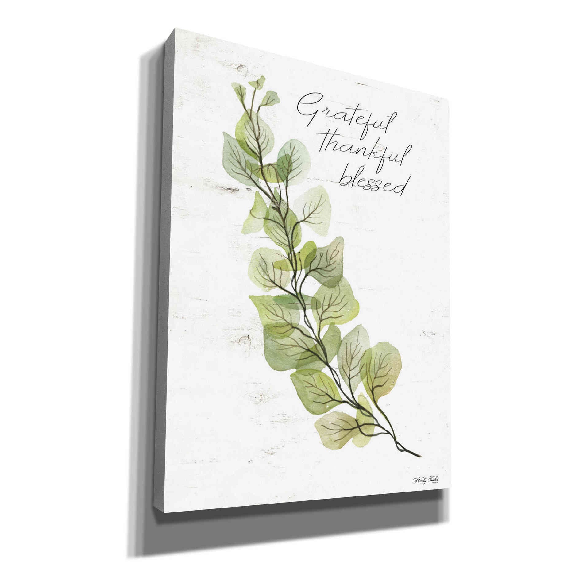 'Grateful Thankful Blessed' by Cindy Jacobs, Canvas Wall Art