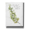 'Grateful Thankful Blessed' by Cindy Jacobs, Canvas Wall Art