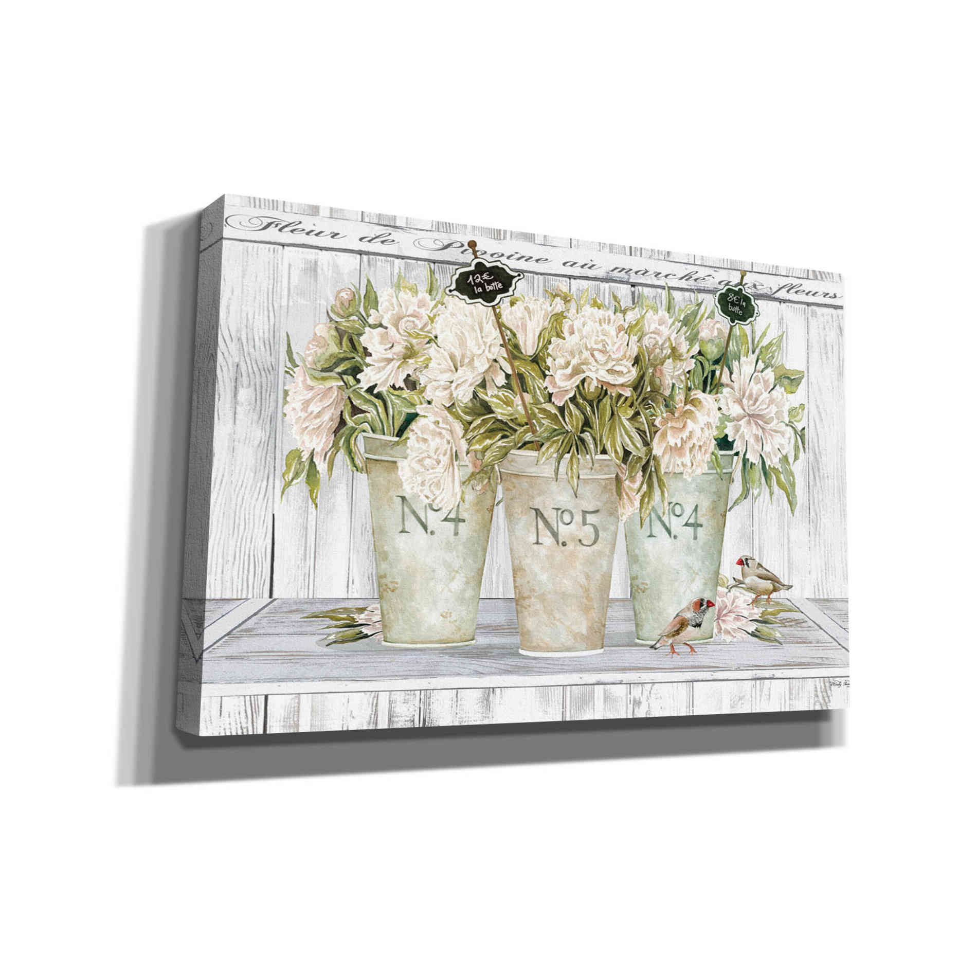 'French Peonies Still Life II' by Cindy Jacobs, Canvas Wall Art