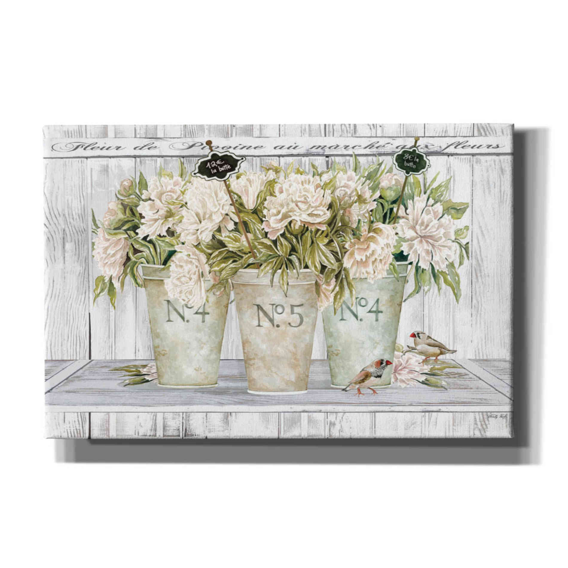 'French Peonies Still Life II' by Cindy Jacobs, Canvas Wall Art