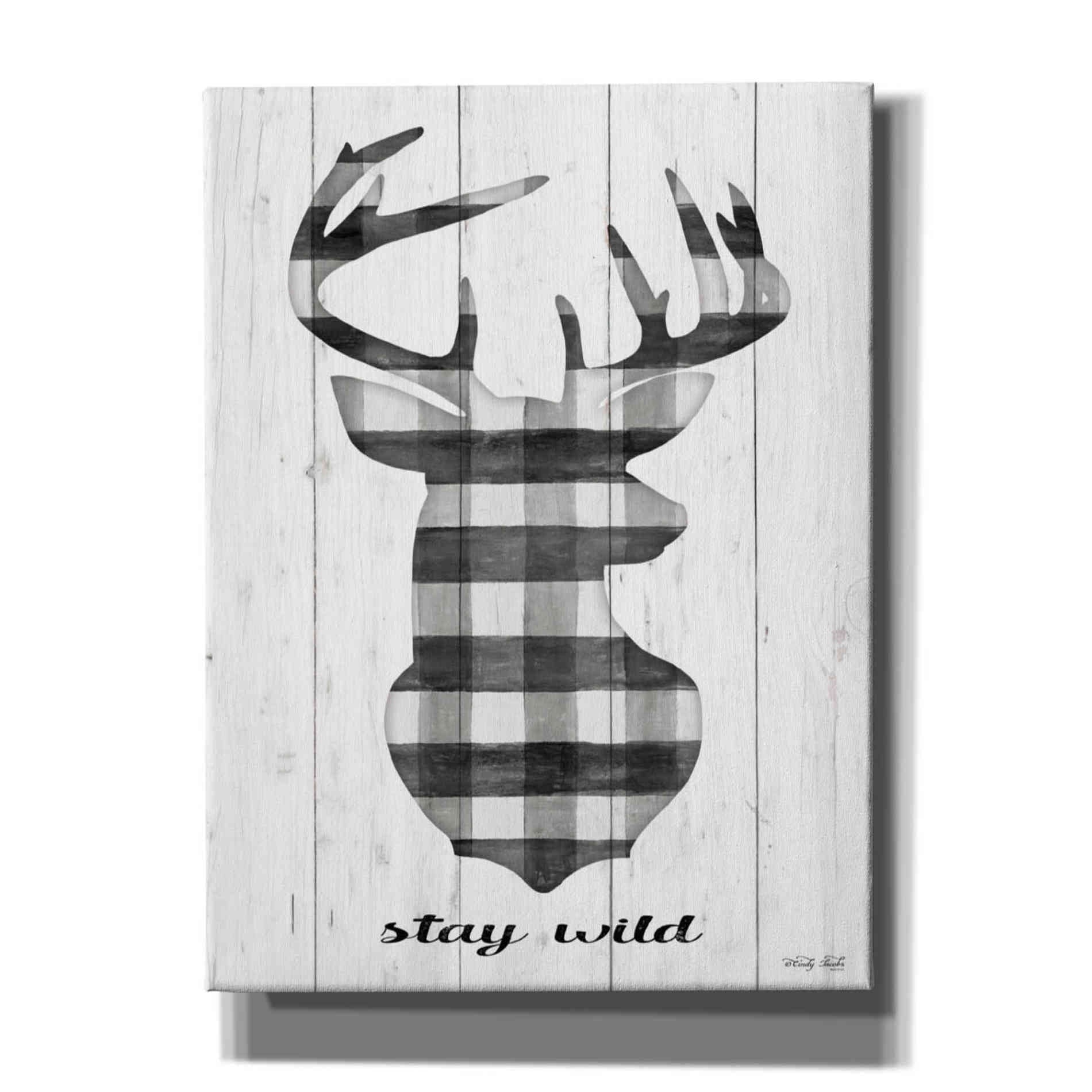 'Stay Wild' by Cindy Jacobs, Canvas Wall Art