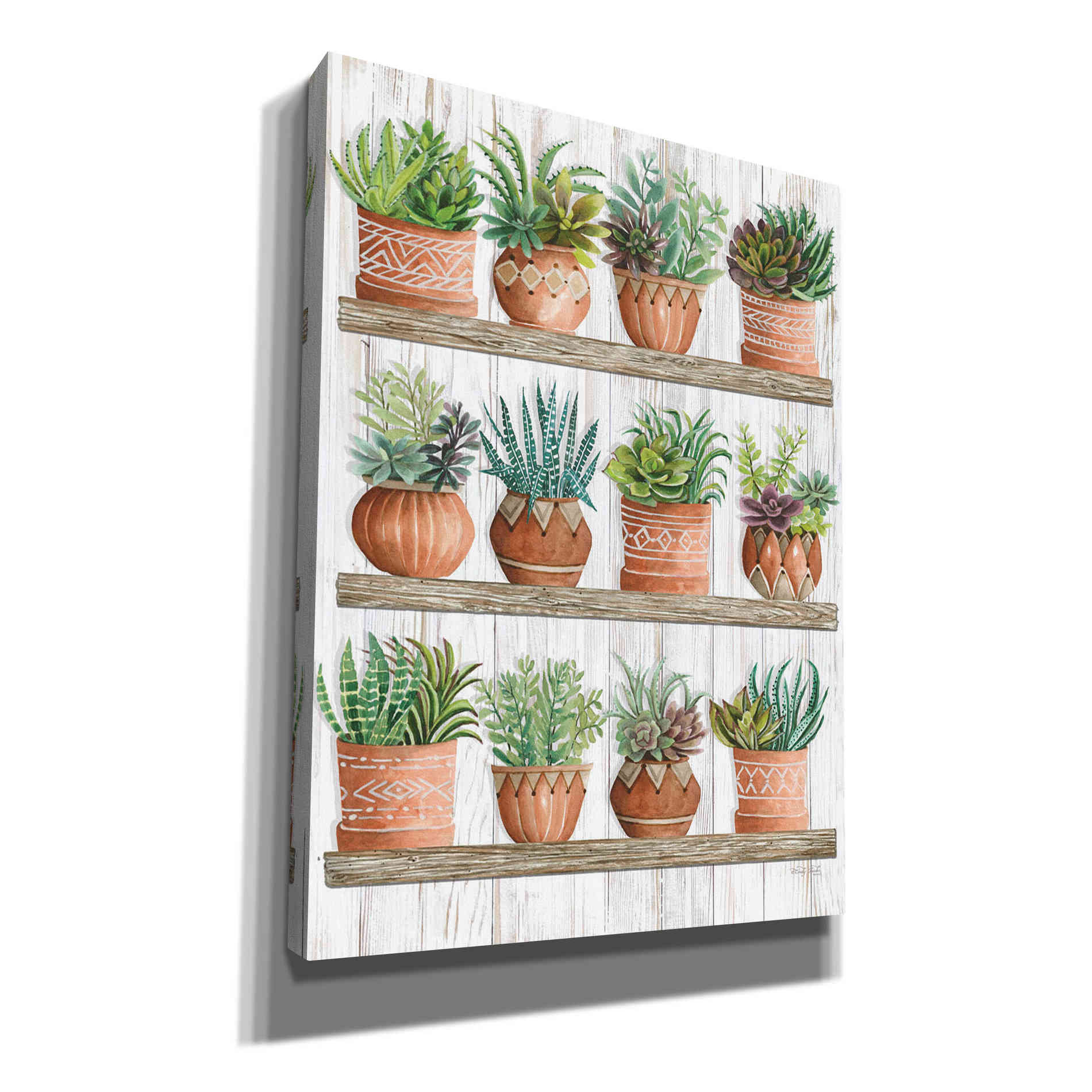 'Succulents on Shelves' by Cindy Jacobs, Canvas Wall Art