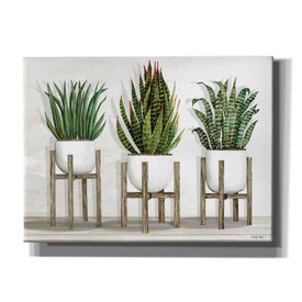'White Pots on Stands I' by Cindy Jacobs, Canvas Wall Art