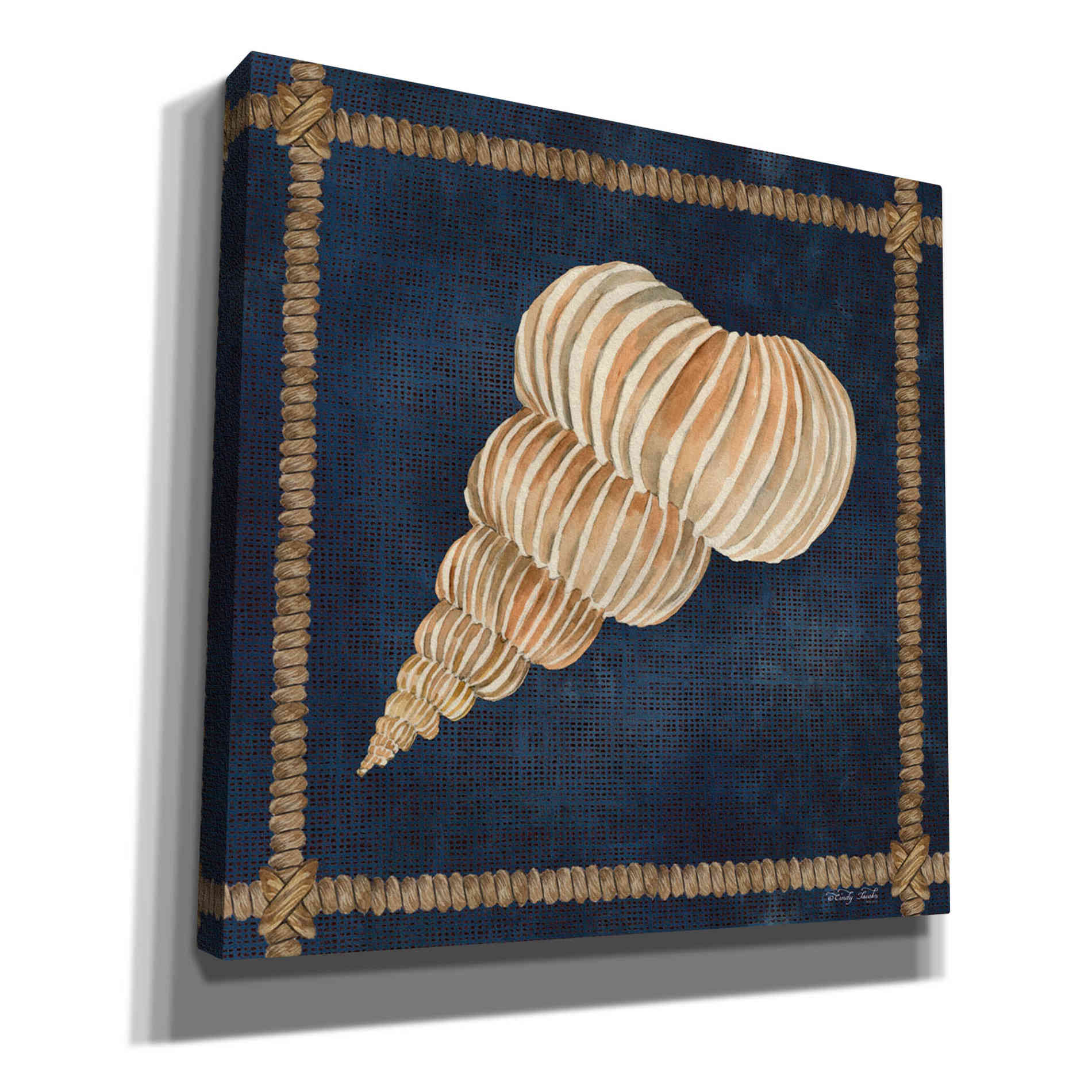 'Seashell on Navy III' by Cindy Jacobs, Canvas Wall Art