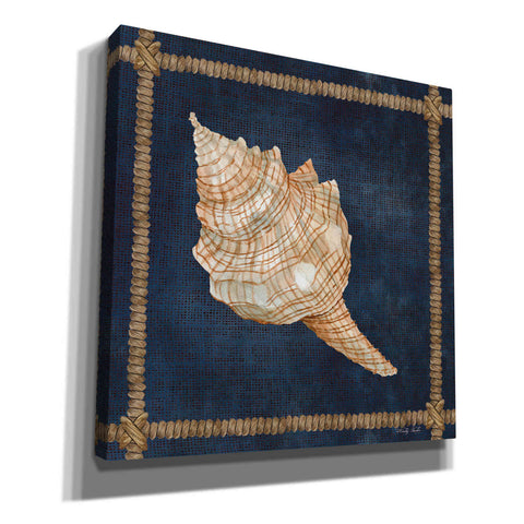 Image of 'Seashell on Navy IV' by Cindy Jacobs, Canvas Wall Art