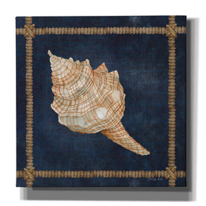 'Seashell on Navy IV' by Cindy Jacobs, Canvas Wall Art