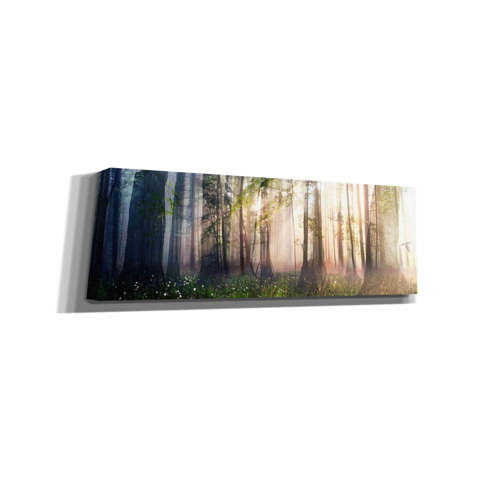 'Constancy' by Cynthia Decker, Canvas Wall Art