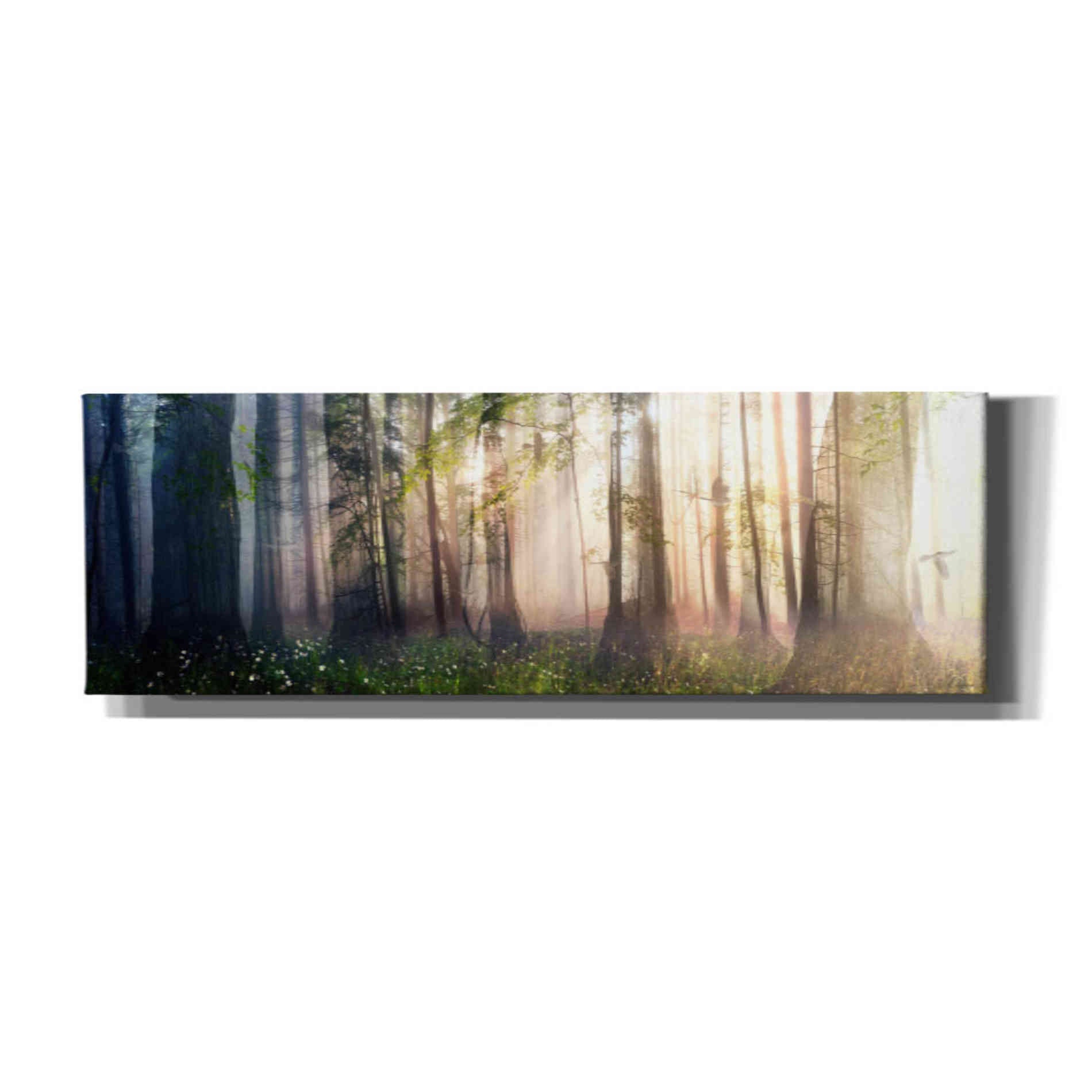 'Constancy' by Cynthia Decker, Canvas Wall Art