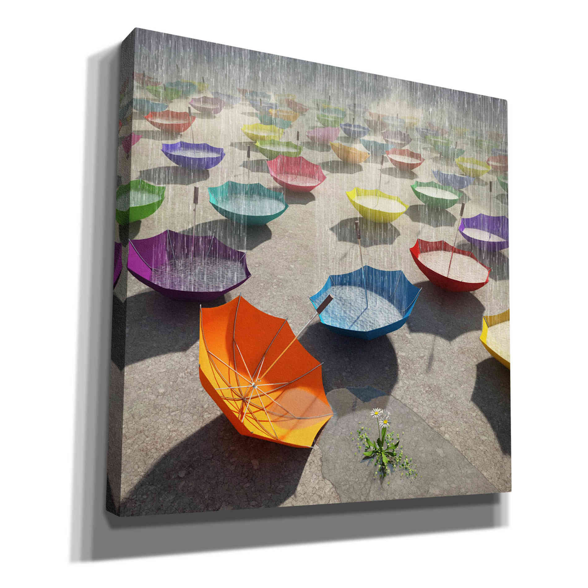 'Downpour' by Cynthia Decker, Canvas Wall Art