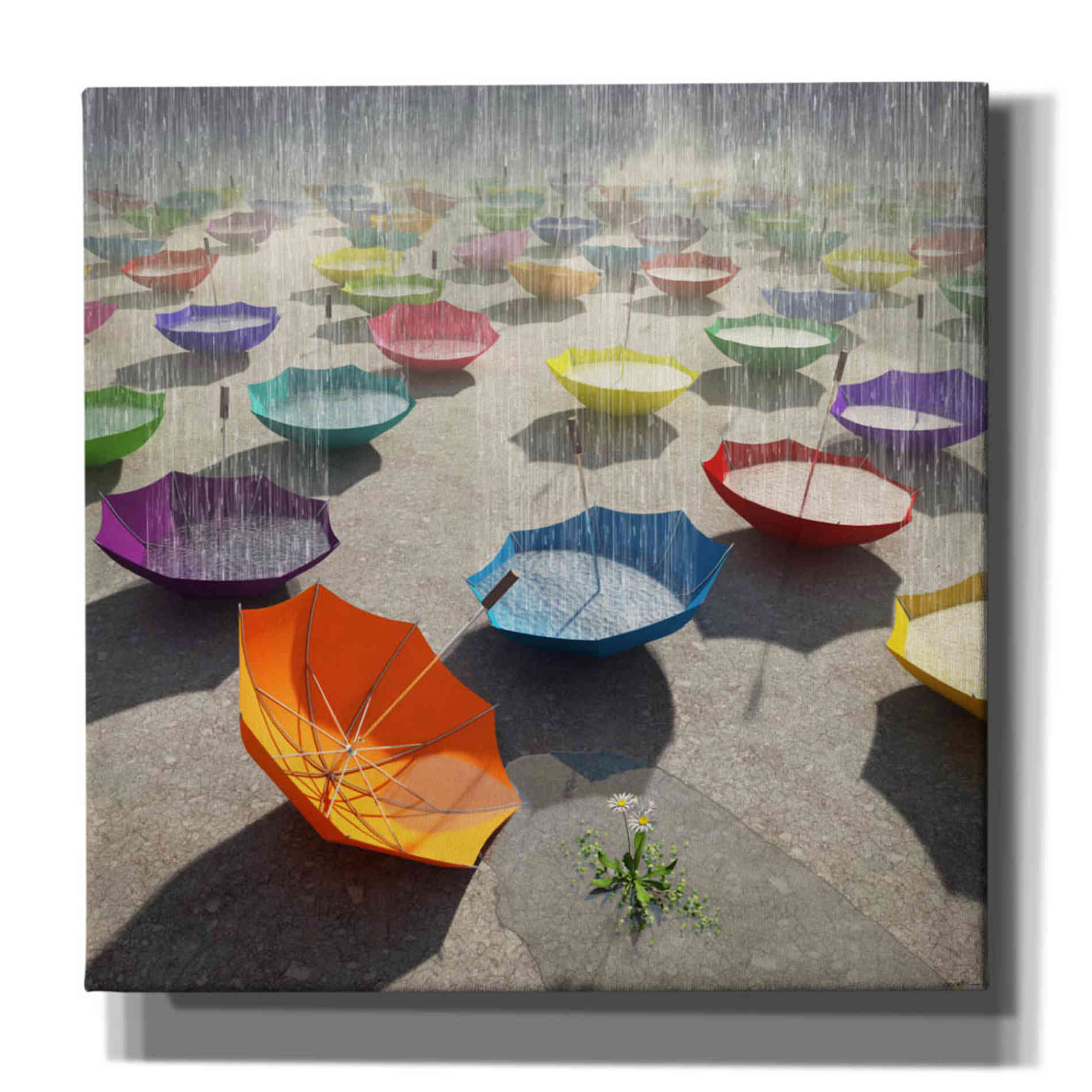 'Downpour' by Cynthia Decker, Canvas Wall Art