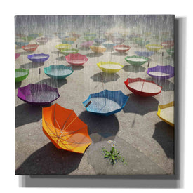 'Downpour' by Cynthia Decker, Canvas Wall Art