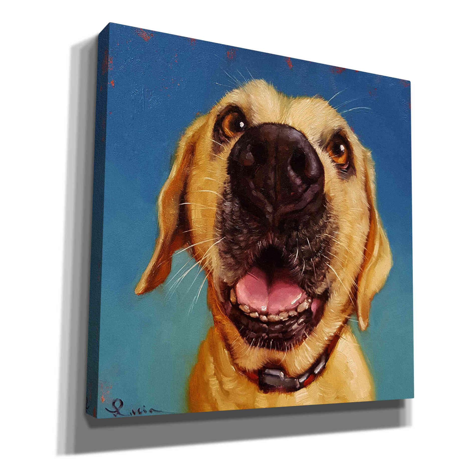 'Follow Your Nose 2' by Lucia Heffernan, Canvas Wall Art