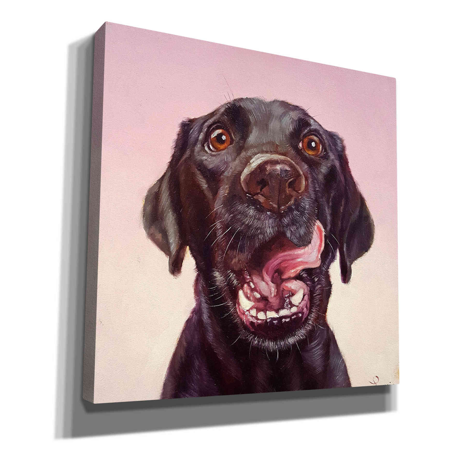 'Follow Your Nose 7' by Lucia Heffernan, Canvas Wall Art