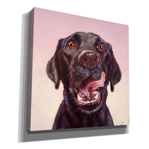 'Follow Your Nose 7' by Lucia Heffernan, Canvas Wall Art